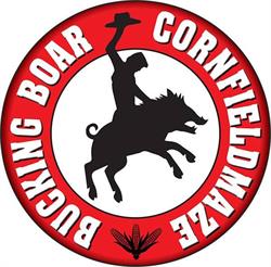 Bucking Boar Cornfield Maze