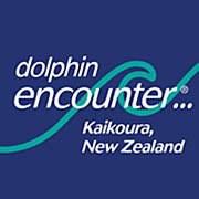 Dolphin Encounter Kaikoura