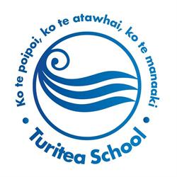 Turitea School PTA