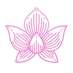 Thai House Eatery