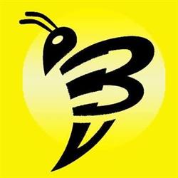 Bumblebee IT