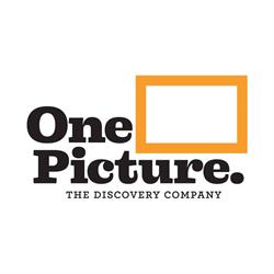 The One Picture Group Ltd