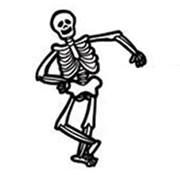 Tony - Bones - Lepelaars Builders