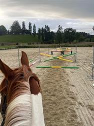Owaikura Equestrian