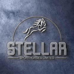 Stellar Sporthorses