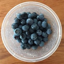 Roundhill Homestead Blueberries