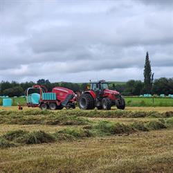 Roy Contracting Ltd