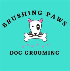 Brushing Paws Dog Grooming