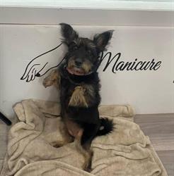 Nicki Jane Beauty Salon & Spa