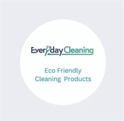 Everyday Cleaning Products