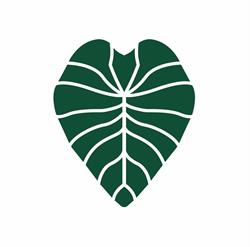 Polynesian Choice- Island Dress Store