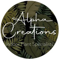 Alpha Creations-Indoor Plant Specialists