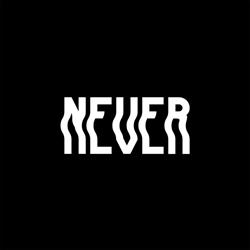 Never Project Space