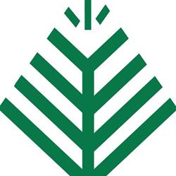 Acupine Acupuncture Clinic