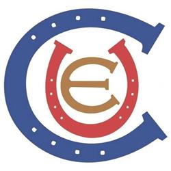 Central Upholstery and Equestrian