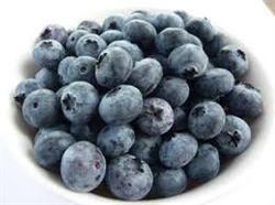Te Kopia Farm Blueberries