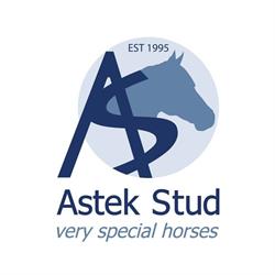 Astek Stud