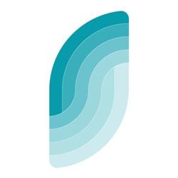 Synergy Dental Dunedin