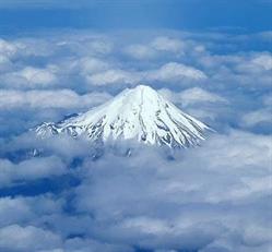NewTourZealand.com