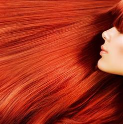 Ginger Mane