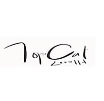Topcat 2000 Limited
