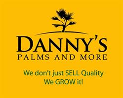 Danny's Palms & More Ltd