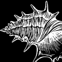 Calypso's tattoo