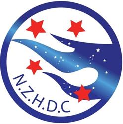 N.Z Home Of Diecasts
