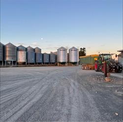 Highbank Seeds Ltd