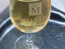 Millars Vineyard Mangawhai NZ