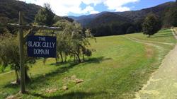 Black Gully Domain