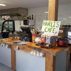 Harli's