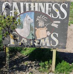 Caithness Farm