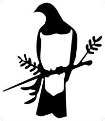 Kereru Coffee