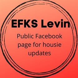 EFKS Levin