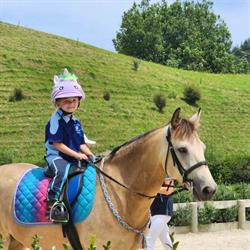 Rotongaro-Huntly Pony Club