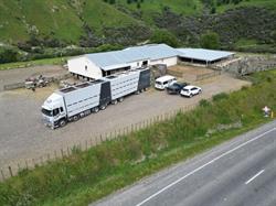 Payne Transport Ltd