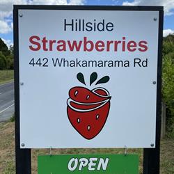 Hillside Farm
