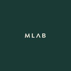 The Marketing Lab
