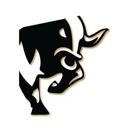 Taurus Fitness