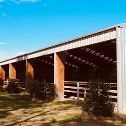 Copper Creek Quarter Horses