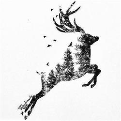 Kaimai Range Venison