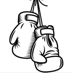Boxing 2B Fit