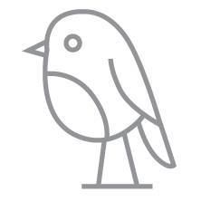 The Grey Robin