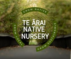 Te Arai Native Nursery Ltd
