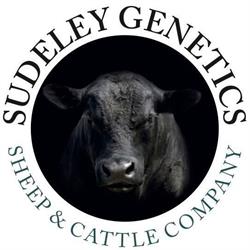 Sudeley Angus cattle & Sheep Genetics