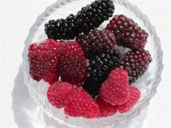 Prue's Berries