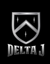 Delta J Panel and Paint
