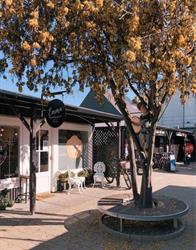 Bloom Hair Studio