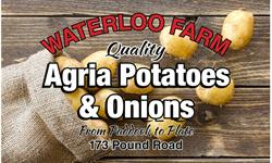 Waterloo Farm